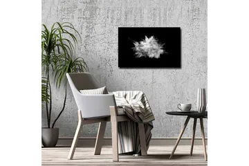Canvastavla - Dramatiskt moln av pulver som exploderar mot en svart bakgrund - Vit / Svart - Inredning - Tavlor & posters - Canvastavla
