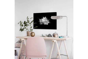 Canvastavla - Dramatiskt moln av pulver som exploderar mot en svart bakgrund - Vit / Svart - Inredning - Tavlor & posters - Canvastavla