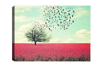 Canvastavla - Ensam trädkrona i en blomstrande fält av rosa blommor - Rosa / Himmelsblå / Svart - Inredning - Tavlor & posters - Canvastavla