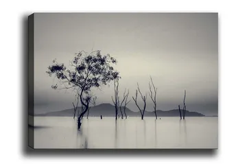 Canvastavla - Ensamstående träd i dimmig vattenlandskap - Svart / Grå / Vit - Inredning - Tavlor & posters - Canvastavla