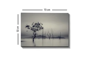 Canvastavla - Ensamstående träd i dimmig vattenlandskap - Svart / Grå / Vit - Inredning - Tavlor & posters - Canvastavla