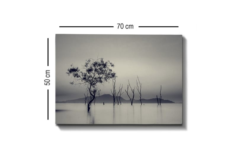 Canvastavla - Ensamstående träd i dimmig vattenlandskap - Svart / Grå / Vit - Inredning - Tavlor & posters - Canvastavla