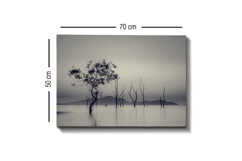 Canvastavla - Ensamstående träd i dimmig vattenlandskap - Svart / Grå / Vit - Inredning - Tavlor & posters - Canvastavla