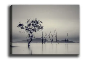 Canvastavla - Ensamstående träd i dimmig vattenlandskap - Svart / Grå / Vit - Inredning - Tavlor & posters - Canvastavla