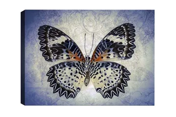 Canvastavla - Färgglad fjäril med detaljerade vingar - Blå / Svart / Orange - Inredning - Tavlor & posters - Canvastavla