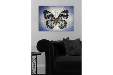 Canvastavla - Färgglad fjäril med detaljerade vingar - Blå / Svart / Orange - Inredning - Tavlor & posters - Canvastavla