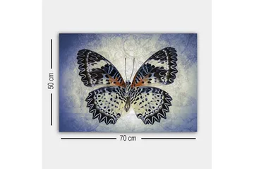 Canvastavla - Färgglad fjäril med detaljerade vingar - Blå / Svart / Orange - Inredning - Tavlor & posters - Canvastavla