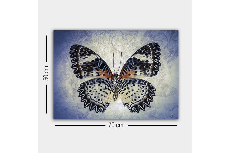 Canvastavla - Färgglad fjäril med detaljerade vingar - Blå / Svart / Orange - Inredning - Tavlor & posters - Canvastavla