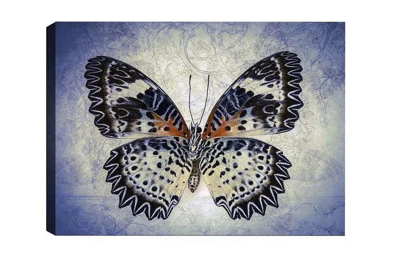 Canvastavla - Färgglad fjäril med detaljerade vingar, Blå / Svart / Orange