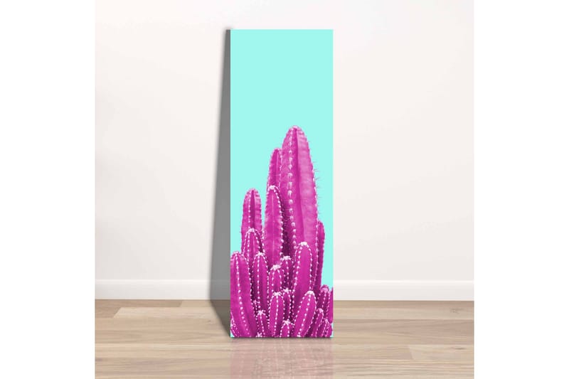 Canvastavla - Färgglad kaktus mot en ljusblå bakgrund - Ljusblå / Rosa - Inredning - Tavlor & posters - Canvastavla