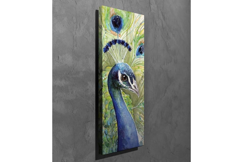 Canvastavla - Färgglad påfågel med utsmyckad fjäderdräkt - Blå / Grön / Svart - Inredning - Tavlor & posters - Canvastavla