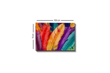 Canvastavla - Färgglada fjädrar i olika nyanser - Röd / Lila / Orange - Inredning - Tavlor & posters - Canvastavla