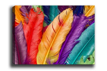 Canvastavla - Färgglada fjädrar i olika nyanser - Röd / Lila / Orange - Inredning - Tavlor & posters - Canvastavla