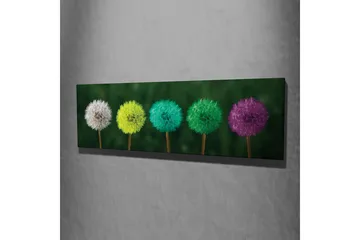 Canvastavla Färgglada maskrosor - Flerfärgad - Inredning - Tavlor & posters - Canvastavla