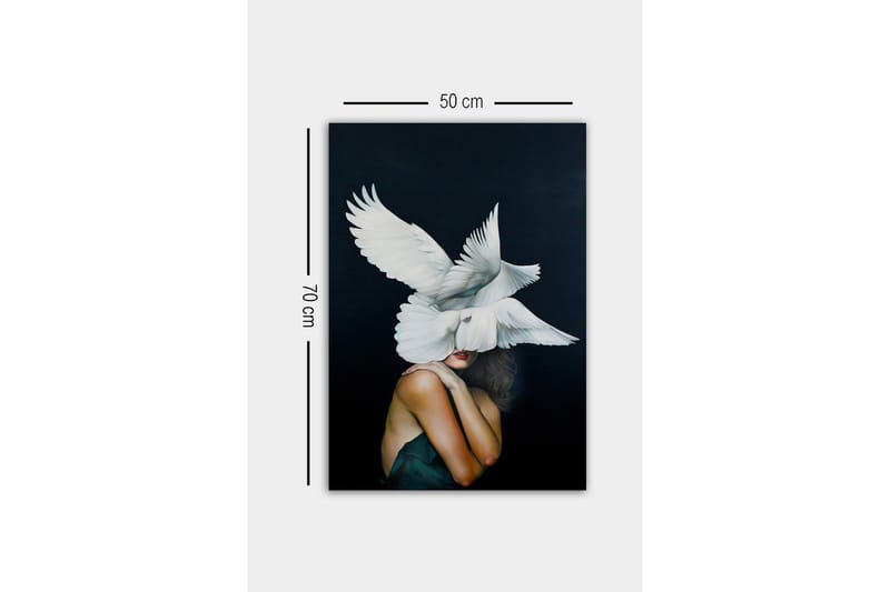Canvastavla - Fåglar som svävar över en kvinna med en naken axel - Vit / Svart / Hudfärg - Inredning - Tavlor & posters - Canvastavla