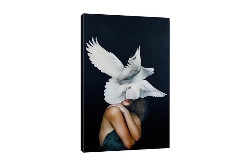 Canvastavla - Fåglar som svävar över en kvinna med en naken axel, Vit / Svart / Hudfärg