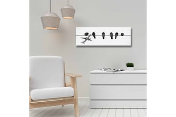 Canvastavla - Fåglar på en ledning med ett flygplan i bakgrunden - Svart / Vitt - Inredning - Tavlor & posters - Canvastavla