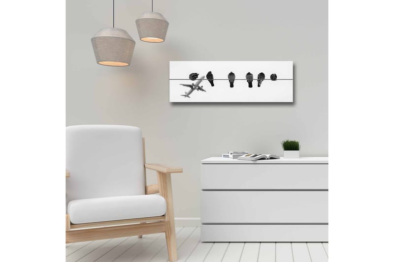 Canvastavla - Fåglar på en ledning med ett flygplan i bakgrunden - Svart / Vitt - Inredning - Tavlor & posters - Canvastavla