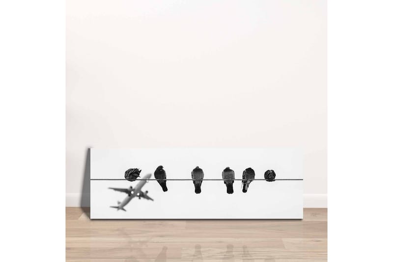 Canvastavla - Fåglar på en ledning med ett flygplan i bakgrunden - Svart / Vitt - Inredning - Tavlor & posters - Canvastavla