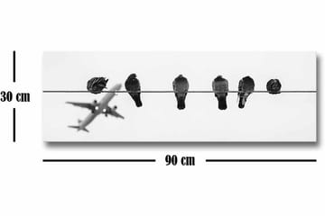 Canvastavla - Fåglar på en ledning med ett flygplan i bakgrunden - Svart / Vitt - Inredning - Tavlor & posters - Canvastavla
