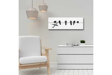Canvastavla - Fåglar på en ledning med ett flygplan i bakgrunden - Svart / Vitt - Inredning - Tavlor & posters - Canvastavla