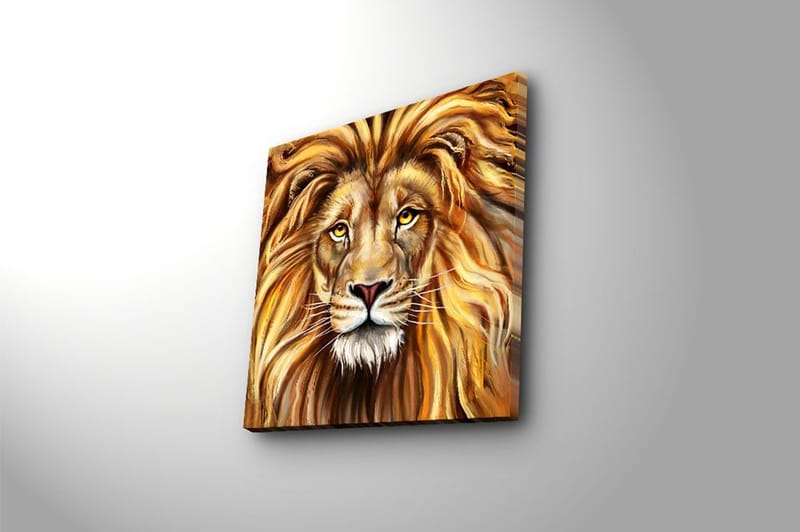 Canvastavla Flerfärgad - 45x45 cm - Inredning - Tavlor & posters - Canvastavla