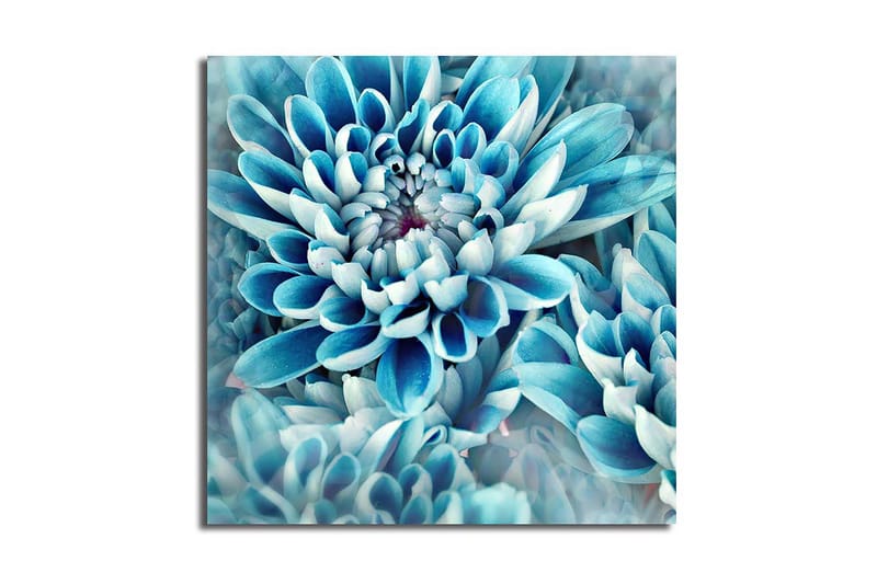 Canvastavla Flerfärgad - 45x45 cm - Inredning - Tavlor & posters - Canvastavla