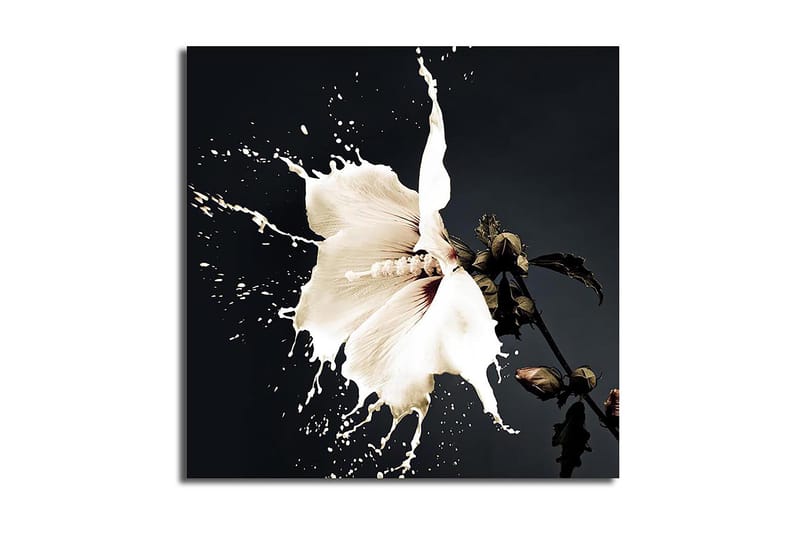 Canvastavla Flerfärgad - 45x45 cm - Inredning - Tavlor & posters - Canvastavla
