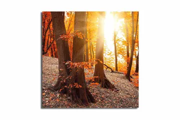 Canvastavla Flerfärgad - 45x45 cm - Inredning - Tavlor & posters - Canvastavla