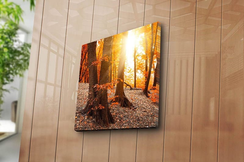 Canvastavla Flerfärgad - 45x45 cm - Inredning - Tavlor & posters - Canvastavla