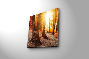 Canvastavla Flerfärgad - 45x45 cm - Inredning - Tavlor & posters - Canvastavla