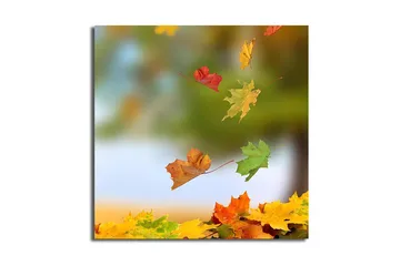 Canvastavla Flerfärgad - 45x45 cm - Inredning - Tavlor & posters - Canvastavla