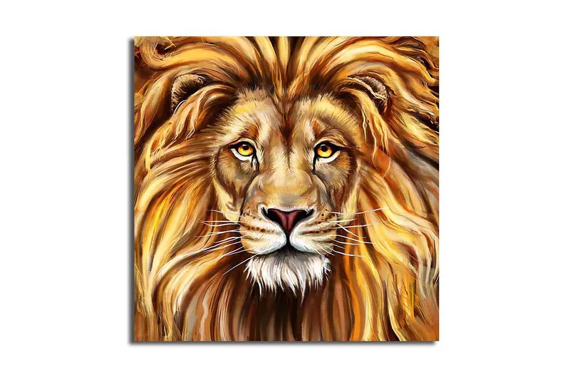 Canvastavla Flerfärgad, 45x45 cm