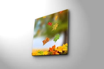 Canvastavla Flerfärgad - 45x45 cm - Inredning - Tavlor & posters - Canvastavla