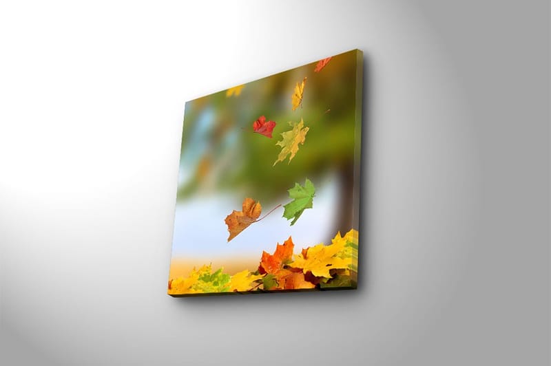 Canvastavla Flerfärgad - 45x45 cm - Inredning - Tavlor & posters - Canvastavla