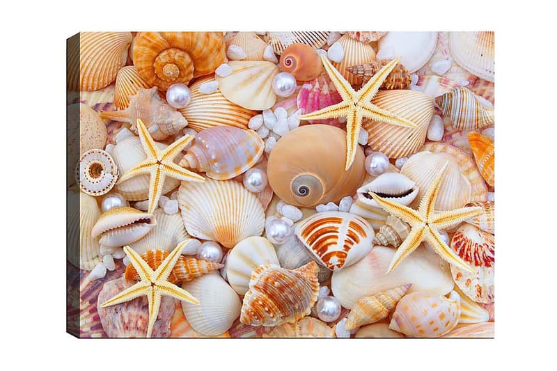 Canvastavla Flerfärgad, 50x70 cm