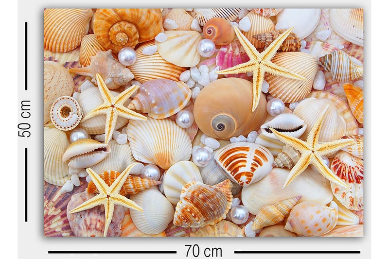 Canvastavla Flerfärgad - 50x70 cm - Inredning - Tavlor & posters - Canvastavla