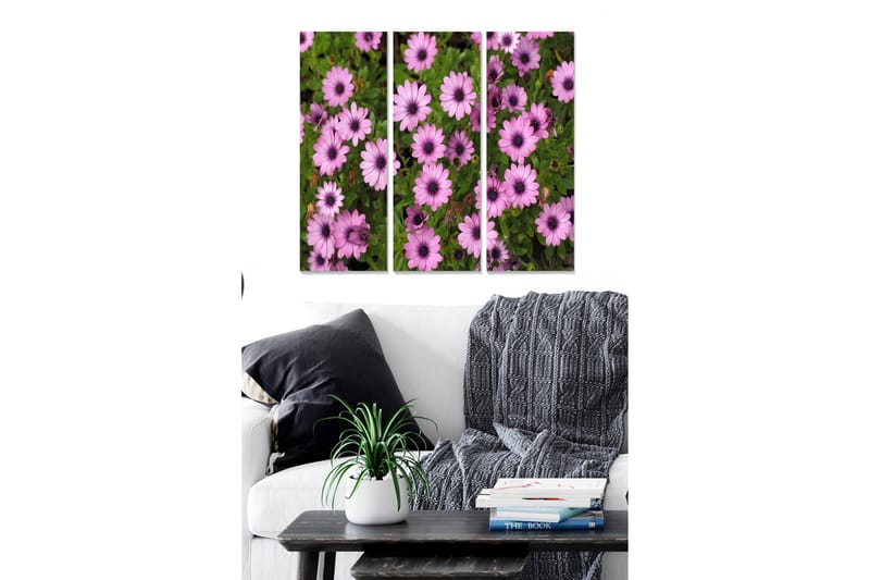 Canvastavla Floral 3-pack Flerfärgad - 20x50 cm - Inredning - Tavlor & posters - Canvastavla