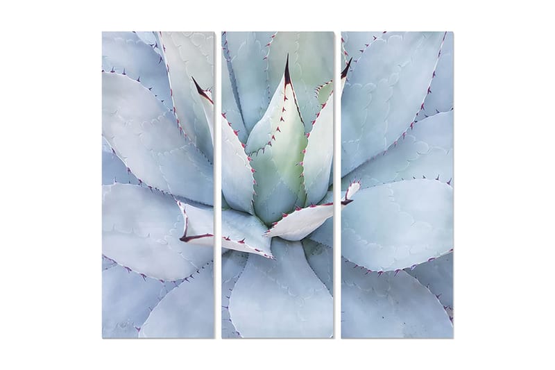 Canvastavla Floral 3-pack Flerfärgad - 20x50 cm - Inredning - Tavlor & posters - Canvastavla