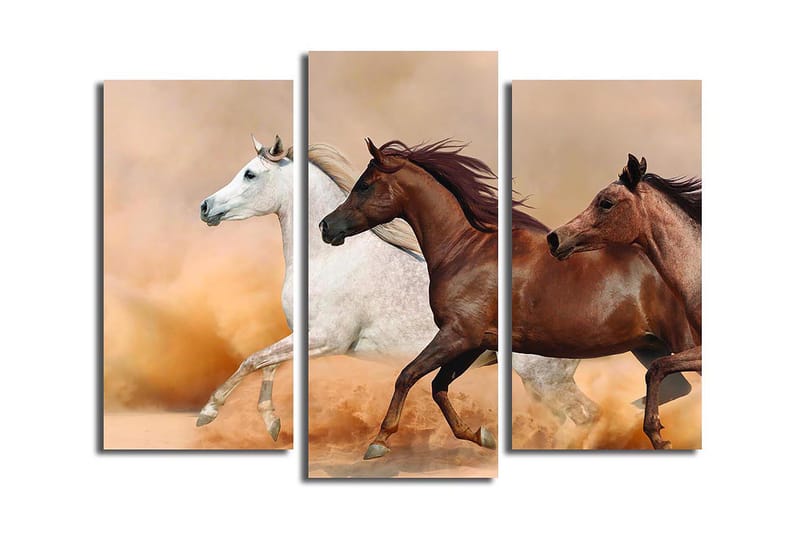Canvastavla Floral 3-pack Flerfärgad - 20x39 cm - Inredning - Tavlor & posters - Canvastavla