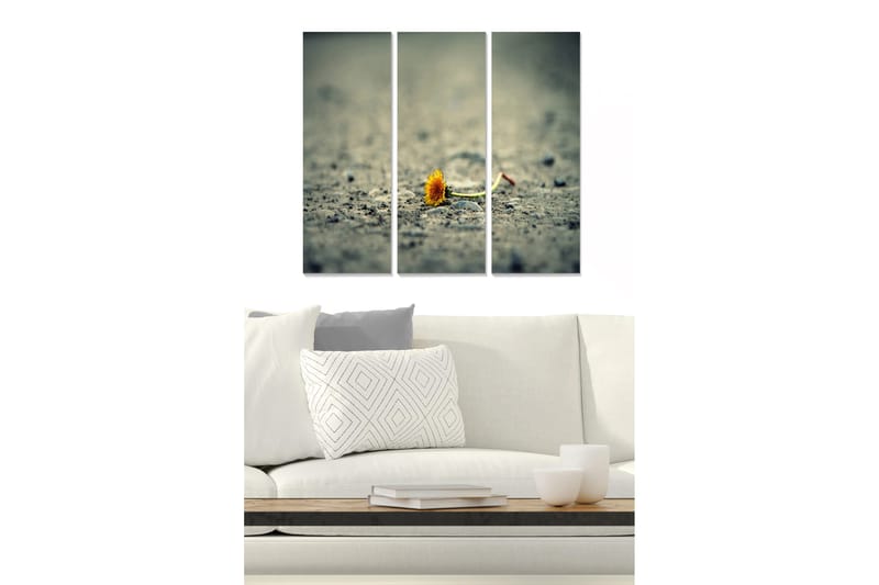 Canvastavla Floral 3-pack Flerfärgad, 20x50 cm