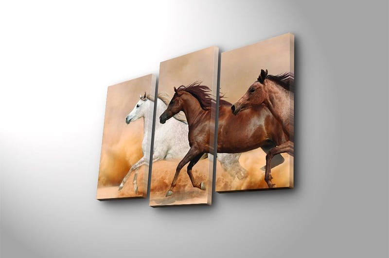 Canvastavla Floral 3-pack Flerfärgad - 20x39 cm - Inredning - Tavlor & posters - Canvastavla