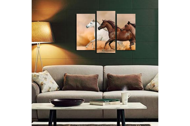 Canvastavla Floral 3-pack Flerfärgad - 20x39 cm - Inredning - Tavlor & posters - Canvastavla