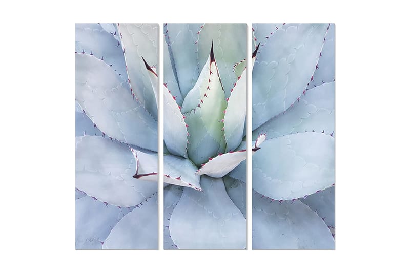 Canvastavla Floral 3-pack Flerfärgad, 20x50 cm