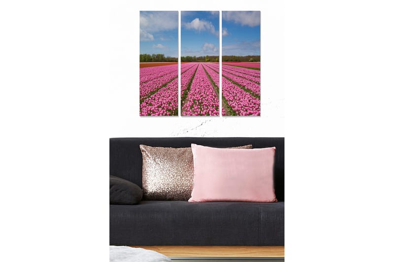 Canvastavla Floral 3-pack Flerfärgad, 20x50 cm