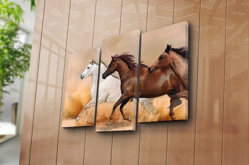 Canvastavla Floral 3-pack Flerfärgad - 20x39 cm - Inredning - Tavlor & posters - Canvastavla