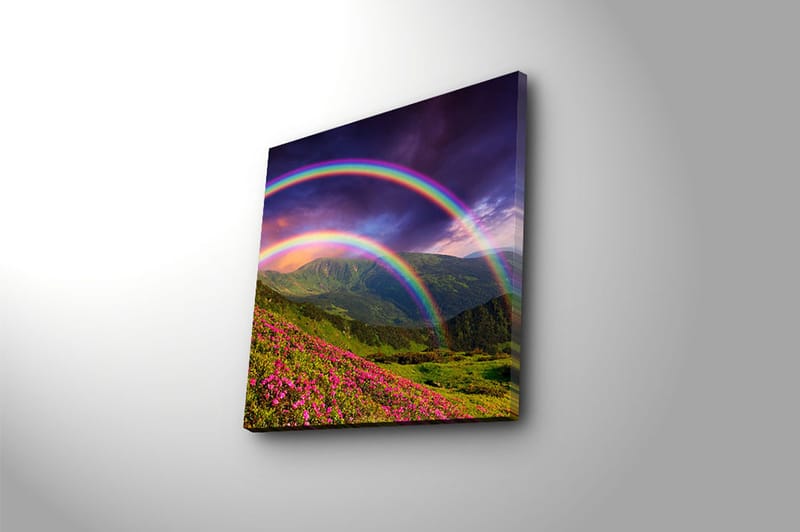 Canvastavla Floral Flerfärgad - 45x45 cm - Inredning - Tavlor & posters - Canvastavla