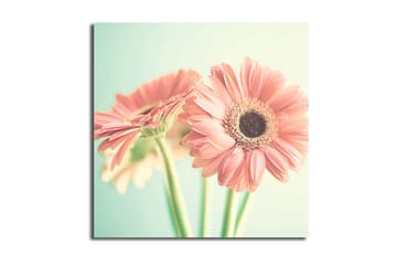 Canvastavla Floral Flerfärgad - 45x45 cm - Inredning - Tavlor & posters - Canvastavla