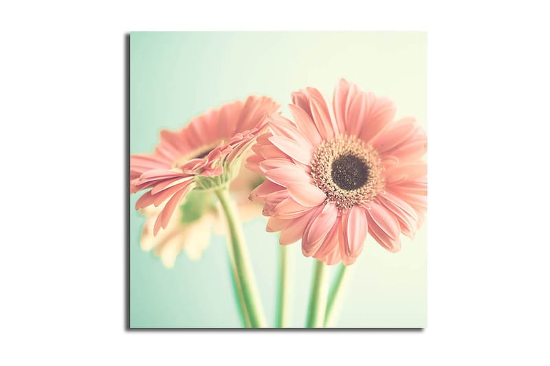 Canvastavla Floral Flerfärgad - 45x45 cm - Inredning - Tavlor & posters - Canvastavla