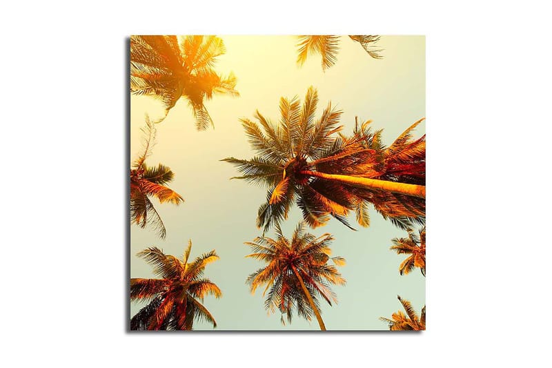Canvastavla Floral Flerfärgad - 45x45 cm - Inredning - Tavlor & posters - Canvastavla